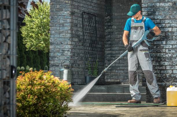Best Roof Washing  in Galesville, WI